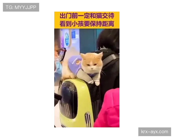 黄东萍出门拎包就像拎金条，这生活差距让人羡慕又绝望