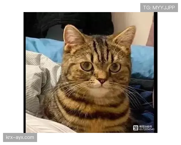 孙一文这生活真是两重天，球场上铁血，家里却像个软萌小奶狗？